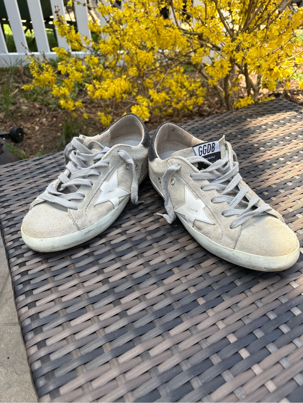 Golden GooSuede Star Sneakers in Light Gray